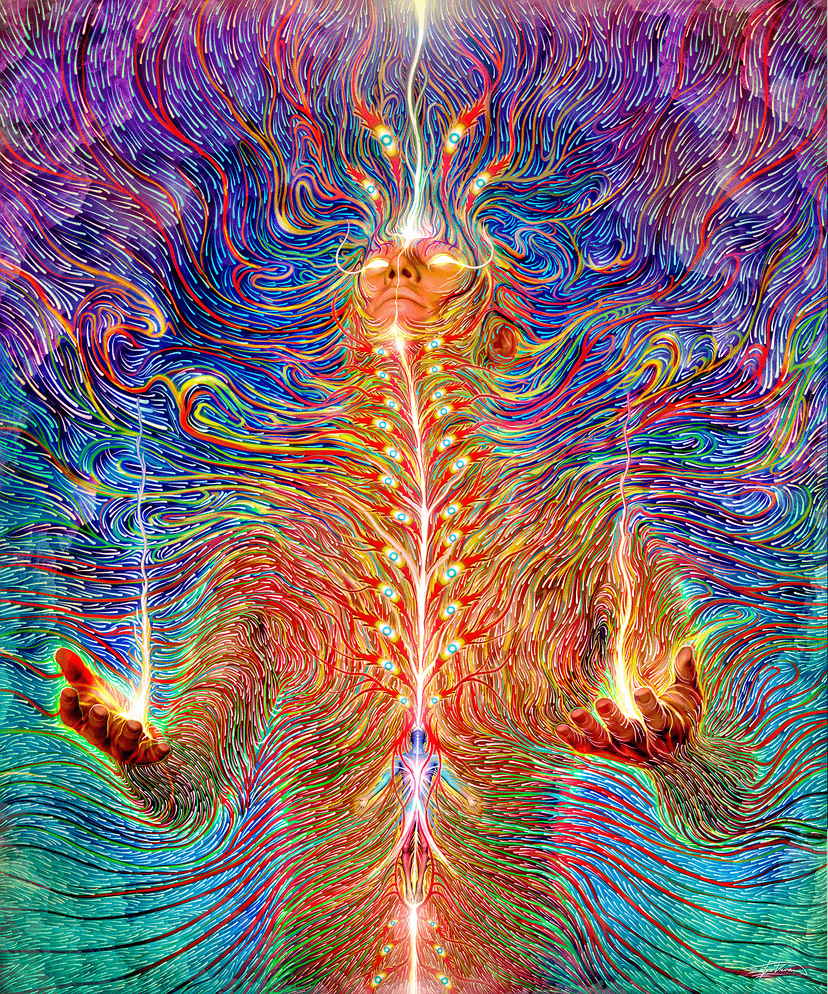 "Through the Veil of Metanoia"