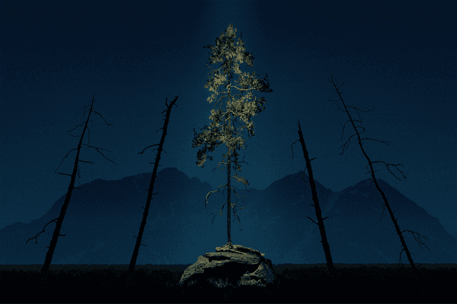 Outgrowth