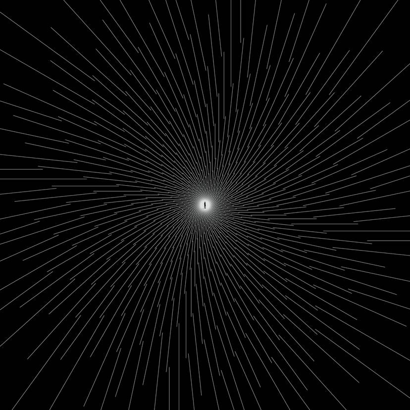 Lines of reason