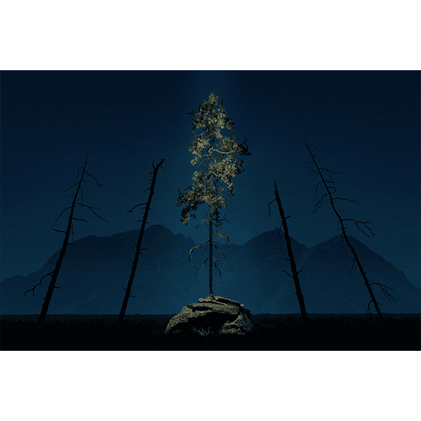 Outgrowth