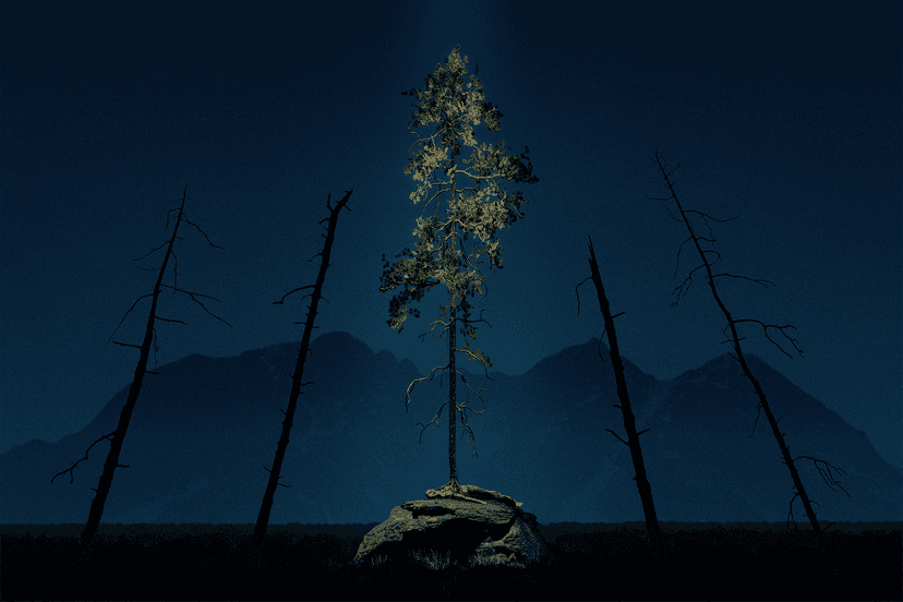 Outgrowth