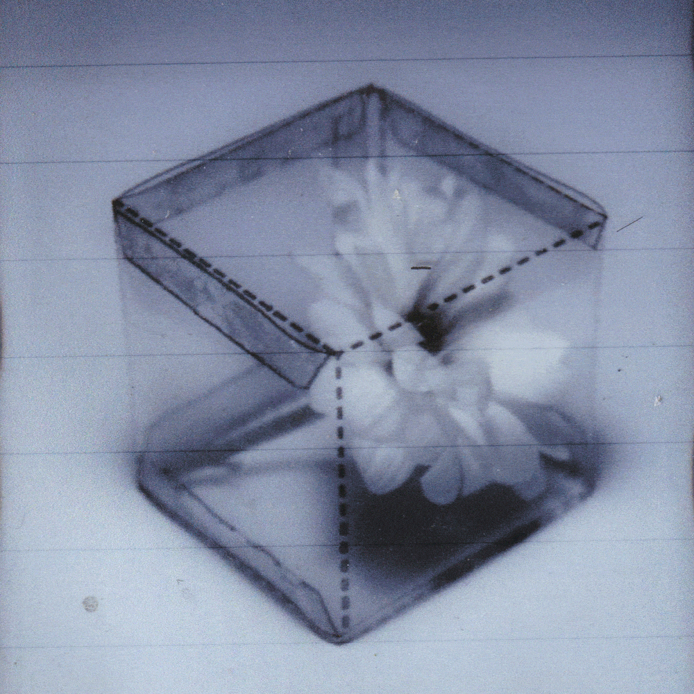 Il’ya Zhura: Identity and Chaos Through Mixed Media Art Il’ya Zhura: Identity and Chaos Through Mixed Media Art