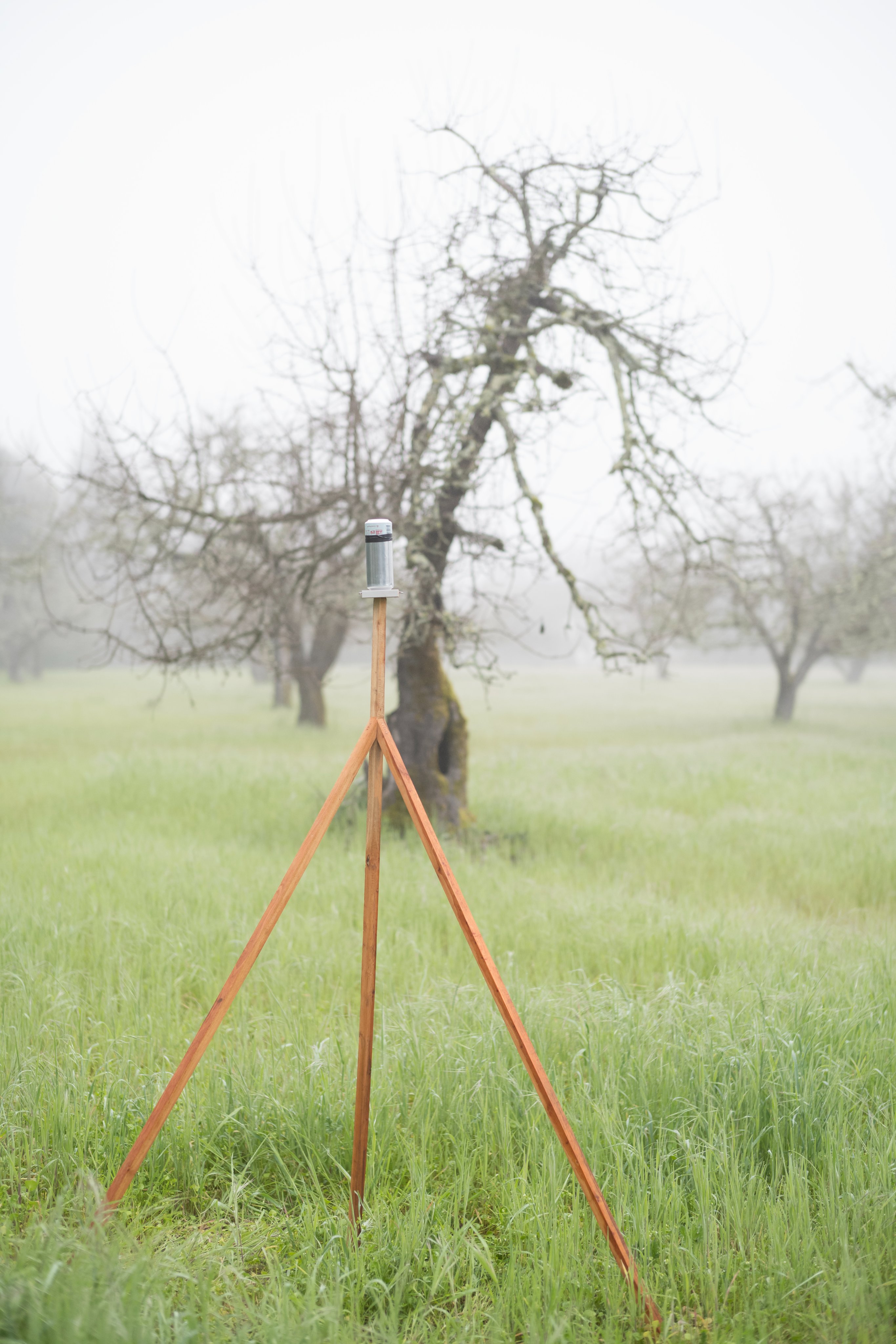 Gary Edward Blum on Memory, Duality, and Curating the Flicker Between Clarity and Uncertainty Gary Edward Blum on Memory, Duality, and Curating the Flicker Between Clarity and Uncertainty