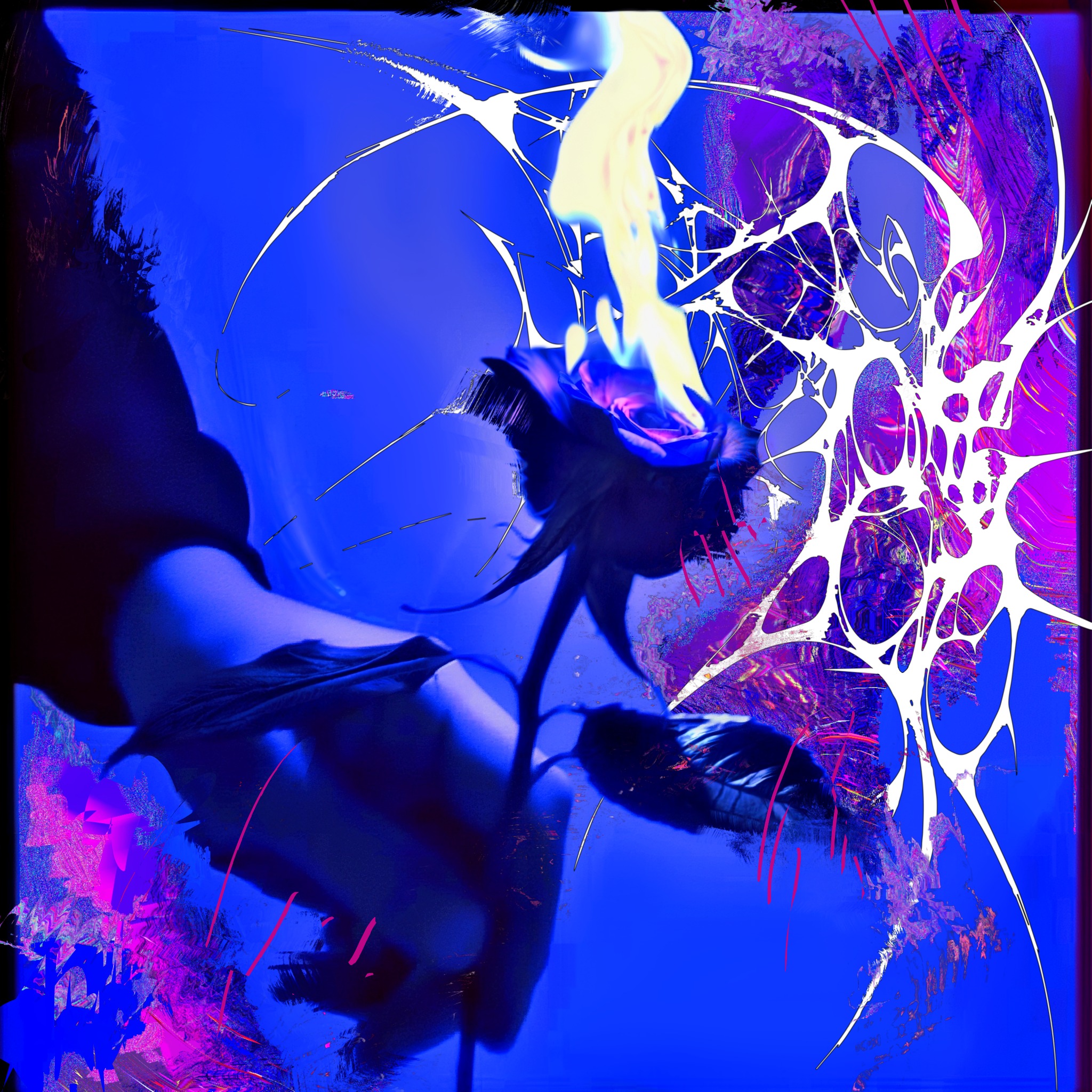 Unveiling Noise: An Interview with Hannah Polza on Identity, Art, and Vibes Unveiling Noise: An Interview with Hannah Polza on Identity, Art, and Vibes