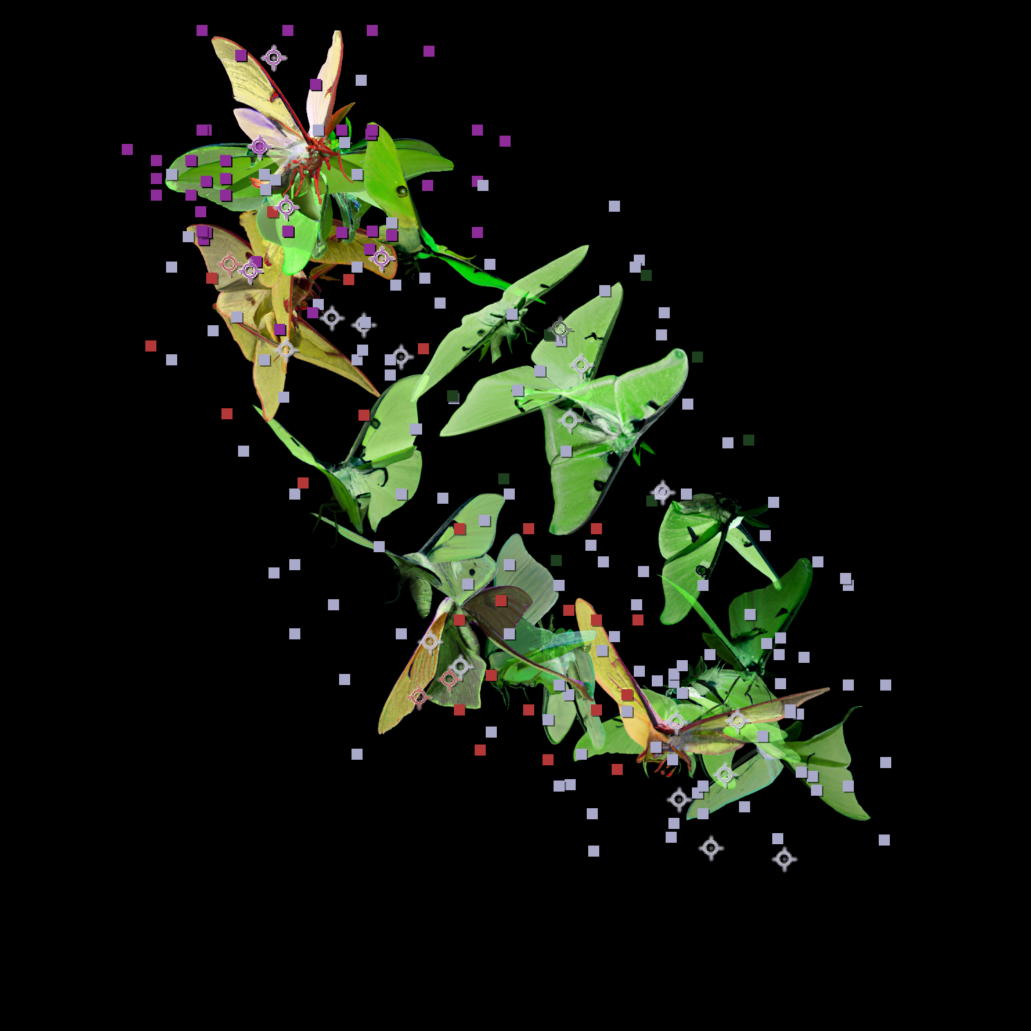 NOCELLCOVERAGE: Bridging Nature and Technology in Digital Art