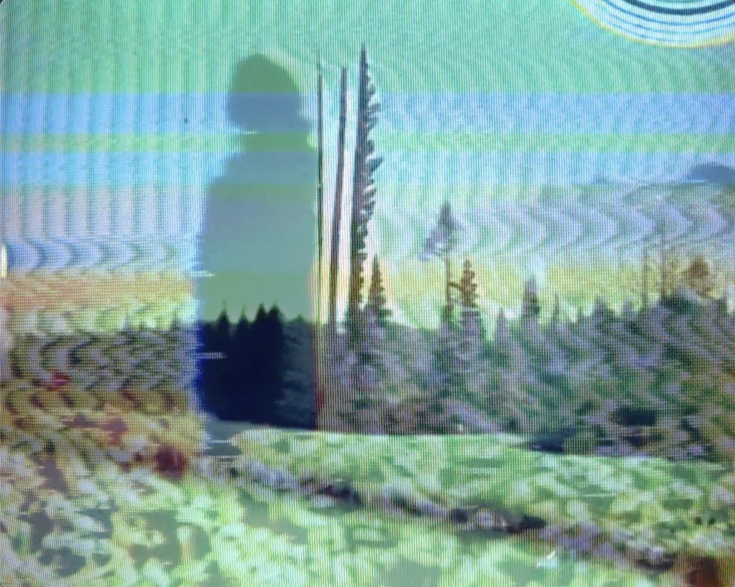 IFMIA_C-01