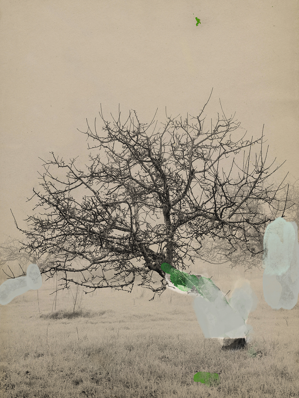 Traces of a Fading Landscape