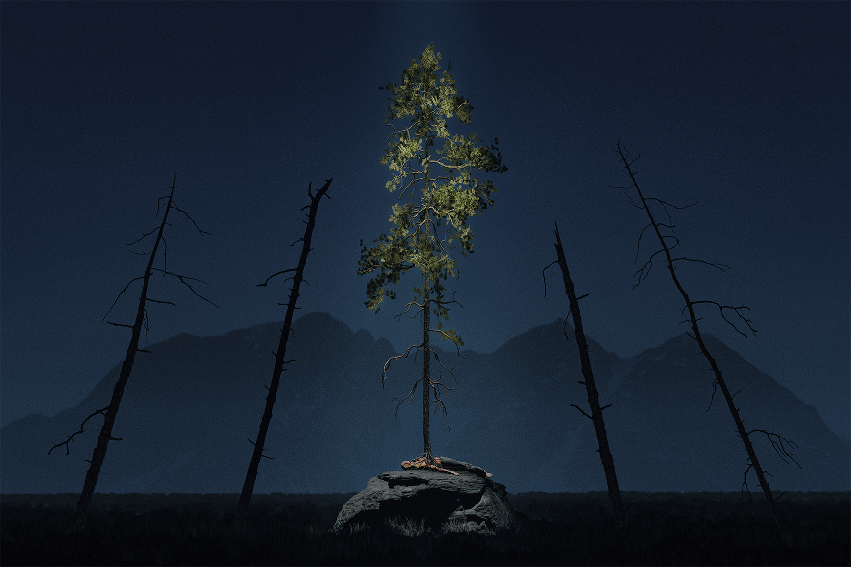 Outgrowth